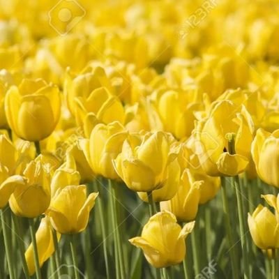 19DEVR's profile picture. 