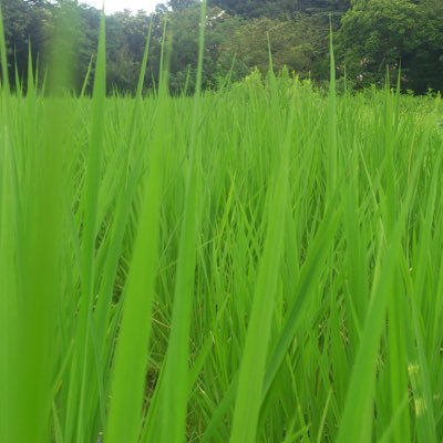 azuki565656's profile picture. ゆるゆるFANKS。
フォローご自由にどうぞ。無言フォロー失礼します。