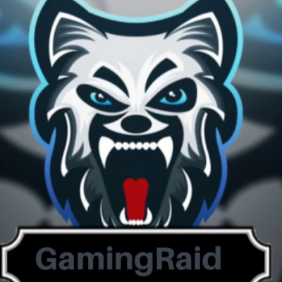 GamingRaid3's profile picture. 
