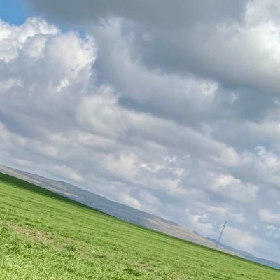 snowww_jon's profile picture. Saygı olmadan sevgi dengesini kaybeder."