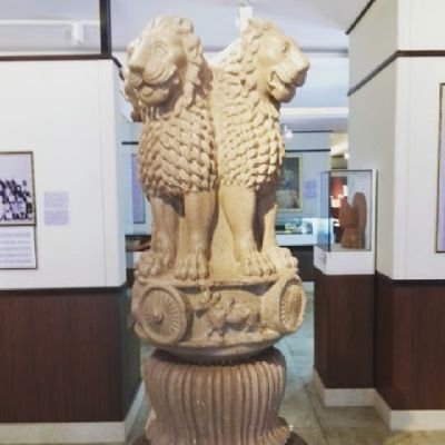 mikijain19's profile picture. The most successful failure.