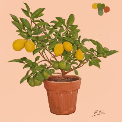 Le Baoさんのプロフィール画像