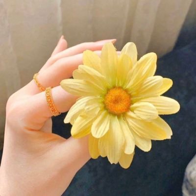 بكالوريوس لغة انجليزية بجامعة أم القرى-دبلوم حاسب آلي- دبلوم موارد بشرية- أمن سيبراني-حاليا مهتمه بالمحاسبة و الضرائب-مؤمنه بأقدار الله،تجذبني الأرواح الراقيه