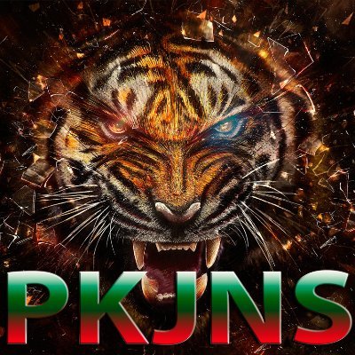 PKJNS Profile Picture