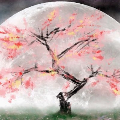 IBMPC_5150's profile picture. 