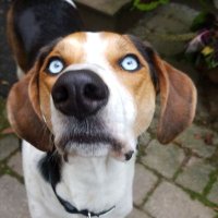 FZP|EO (@jtc_eo) 's Twitter Profile Photo