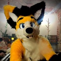 DodgeFoxHusky (@dodgehusky) 's Twitter Profile