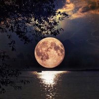 أبو محمد (@bwmmdlrby6) Twitter profile photo