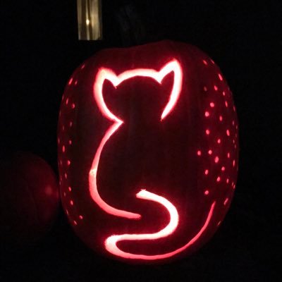 Proud, unwavering & unapologetic conservative. Glenn Beck is wrong about cats. #DesantisChampion