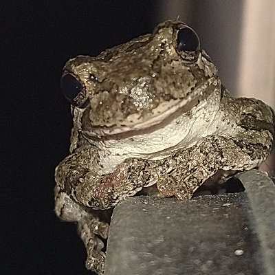 ~ Gamer
~ Mainly Battle Royale and FPS games
~ Instagram-TikTok-Twitch