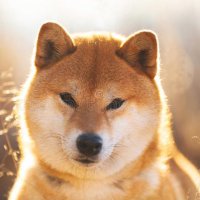Кошмар (@nutsoldwhiteguy) 's Twitter Profile Photo Кошмар (@nutsoldwhiteguy) 's Twitter Profile Photo