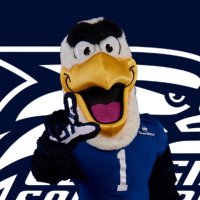 GUS The Eagle(@GusTheEagleGS) 's Twitter Profile Photo