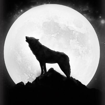 Matejko37396232's profile picture. Głowa zawsze do góry