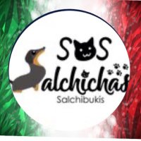 Salchibukis …🆘 salchichas al rescate (@sossalchichas) 's Twitter Profile