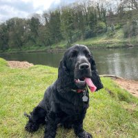 Terry Mather (@tez1995) 's Twitter Profile