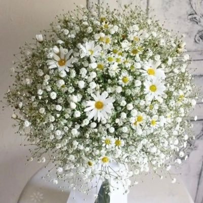 khetamkoko1's profile picture. ‏صحافة وعلاقات عامة - جامعة الأزهر 
كاتبة محتوى ، صحفية محررة
بداية الألف ميل خطوة