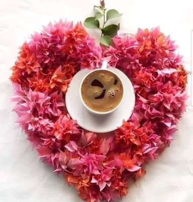 BeneichHalima's profile picture. 