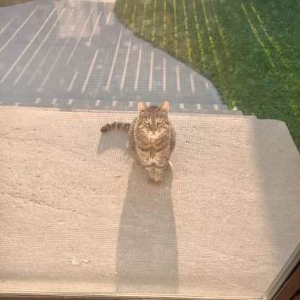 tlhbangalore's profile picture. 🤖