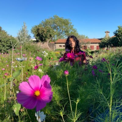 PhD / Critical Applied Linguistics/ Decolonising Language Education Collective/ University of Cambridge/ From the Caribbean/Trinidad and Tobago