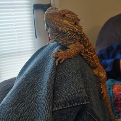 No Attitudes .Biker pictures, nature photography and talking to my GF.♥️Goji, King of  Dragons. RIP. Somewhere with StickTired, Have custody of Ripley ❤️.