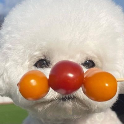 amdogtor's profile picture. #ENFJ-T🌻find what you love and let it kills you 🌈 stan for seeing them faces full with smiles, #정윤오 #재현 #Jaehyun #Heachan #jaeten #johnyong #NCT #SMrookies 💚