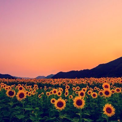 Eğlenmeye ve dertleşmeye hoşgeldiniz.💐.