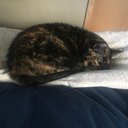 Christy 🇱🇺 - @ChristyGronseth - Twitter