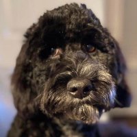 Marie Hall 55 (@onlyonehally) 's Twitter Profile