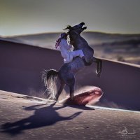 خلف مشاري الخالد (@khalafalkaled) 's Twitter Profile Photo خلف مشاري الخالد (@khalafalkaled) 's Twitter Profile Photo