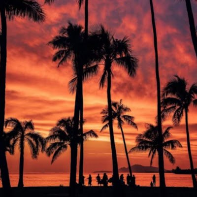 gioele_spada's profile picture. 