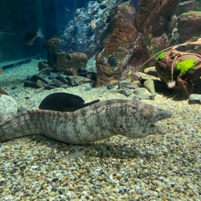 z90600476's profile picture. 