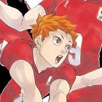 Chollo (@ninjashoyobot) 's Twitter Profile