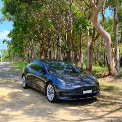 TeslaThelma's profile picture. Aussie Tesla M3 SR+ (Midnight Silver - MiC - LFP)