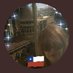 Ivonne Larraín (@larrainveliz) Twitter profile photo