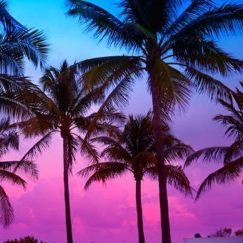 TiredButRetired's profile picture. 