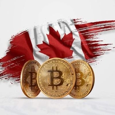 wested23's profile picture. Crypto freak degen