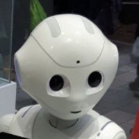 Oak Chase (@chase_oak) 's Twitter Profile