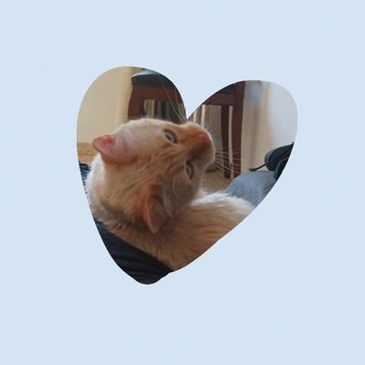 shiopさんのプロフィール画像