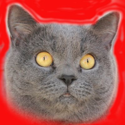 イッセー (ISSEI)さんのプロフィール画像