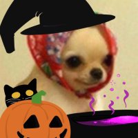 puppydog city⚧️(@horrorcase) 's Twitter Profile Photo