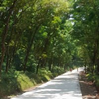 Peter Edd (@edd3edd) 's Twitter Profile