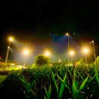 Rhino Four (@rhino_four) 's Twitter Profile Photo