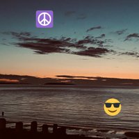 pilipala (@findmeauser) 's Twitter Profile