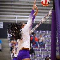 Haley Peterson (@haleypvball) 's Twitter Profile