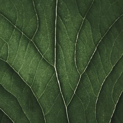 chunhuage1's profile picture. 