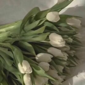 5tlvpp's profile picture. i love noah schnapp