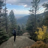 Remodel (@remxdel) 's Twitter Profile