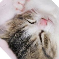 たくみ (@takmifx) 's Twitter Profile