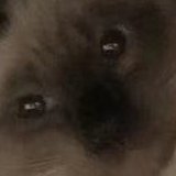 緊根さんのプロフィール画像