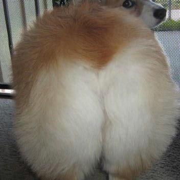 sparkling_iota's profile picture. drowning in a shallow sea, without pets